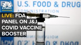 LIVE: FDA advisory panel to vote on J&J Covid booster shots — 10/15/2021
